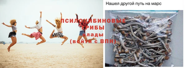 трава Абаза