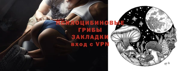 дмт Алексин