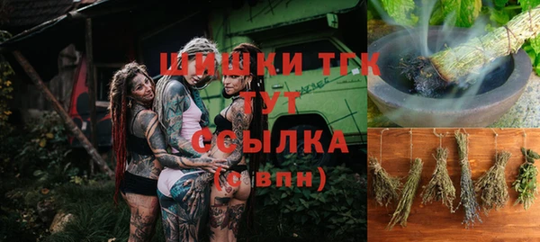 дмт Алексин