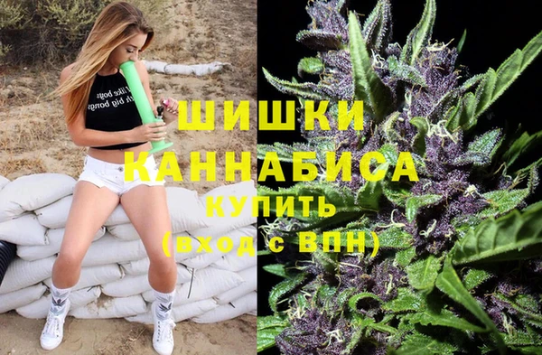 СК Алзамай